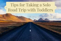 Solo Road Trip with Toddlers: Practical Tips for a Smooth Journey