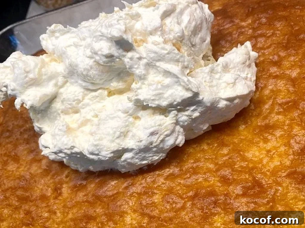 Southern Style Pig Pickin' Cake Recipe: Classic Layered Dessert 7 img 10331 6