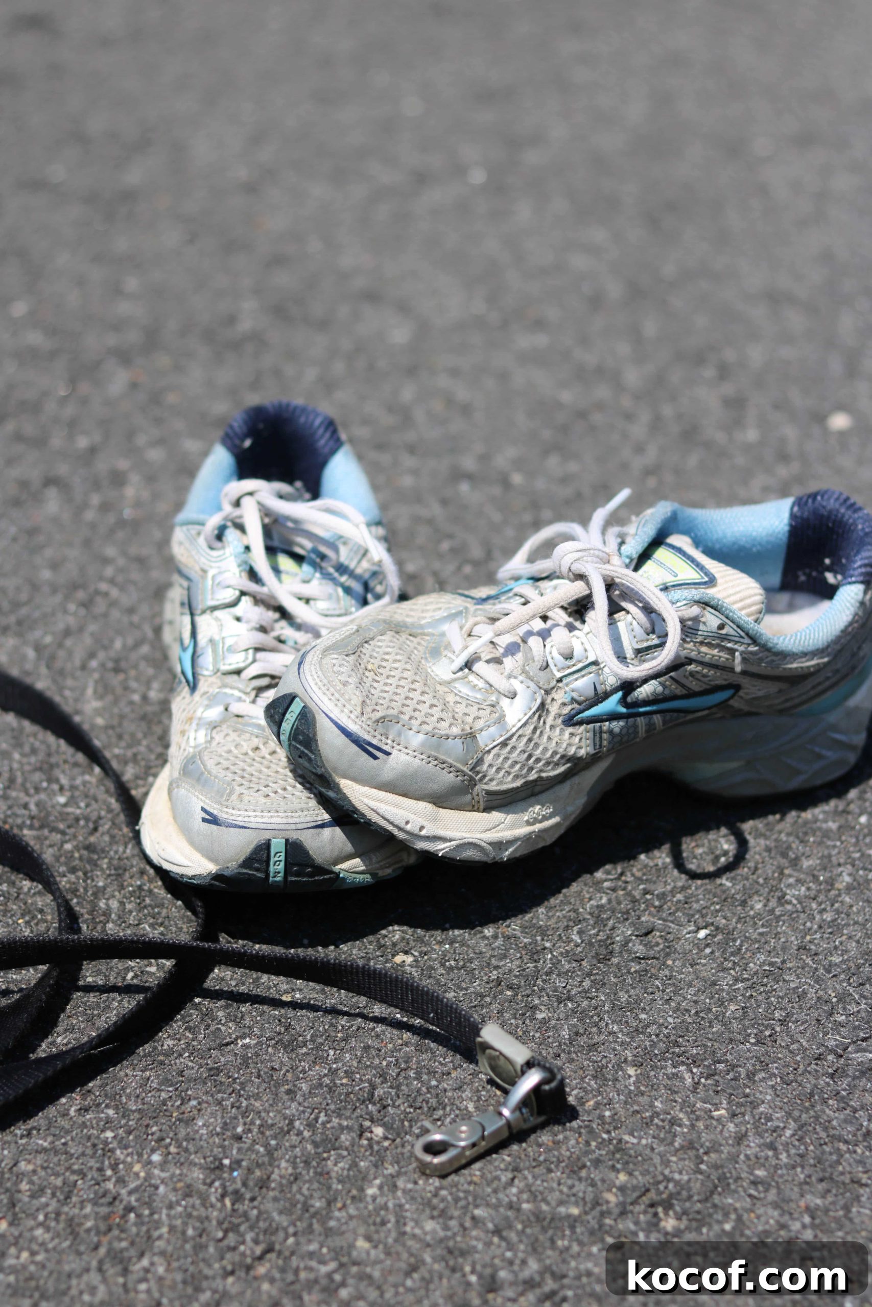 Why I Run: A Mom’s Story and Why You Should Try It 2 Shoes and Leash vert
