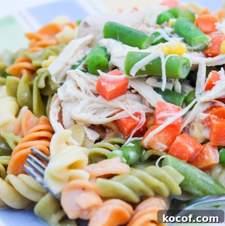 Slow Cooker Garlic Chicken and Veggie Alfredo Pasta Slow Cooker Garlic Chicken and Veggie Alfredo Pasta