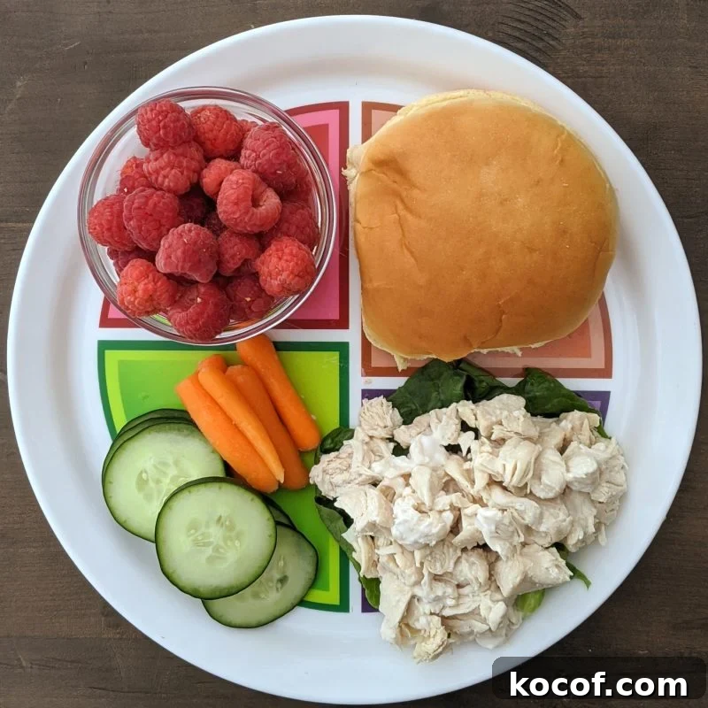 chicken salad raspberries and cucumbers
