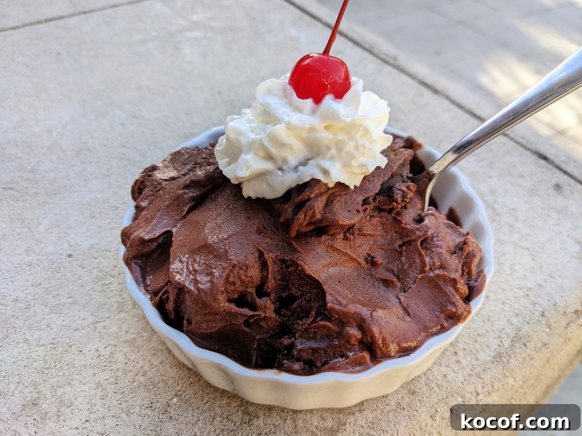 chocolate protein ice cream