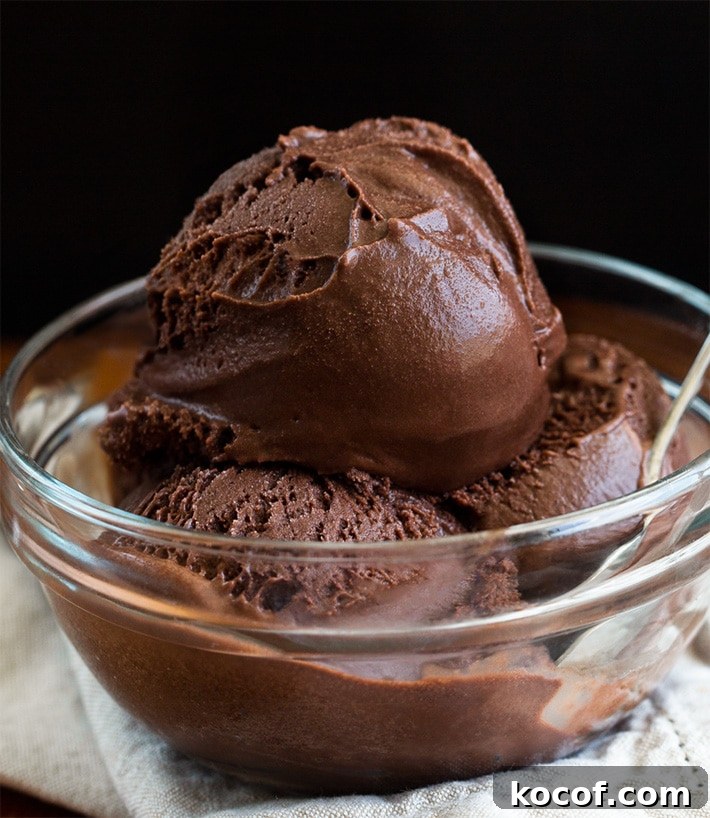Chocolate Sorbet