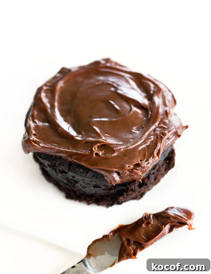 Single Serving Chocolate Cake
