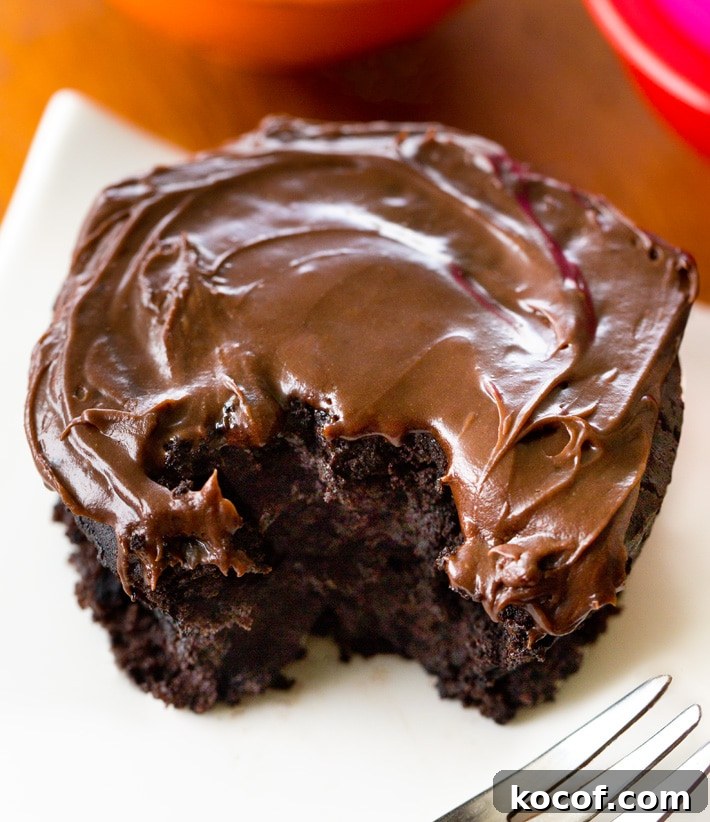 Vegan Chocolate Mug Cake