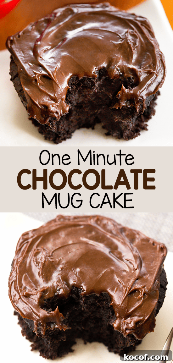 Microwave chocolate cake in a mug