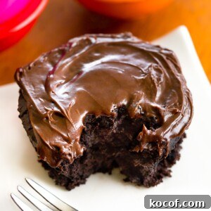 The Best Chocolate Mug Cake Recipe