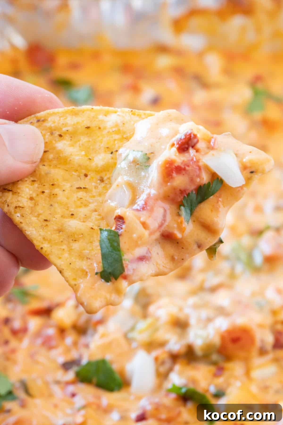 smoked queso on a chip being held in hand.