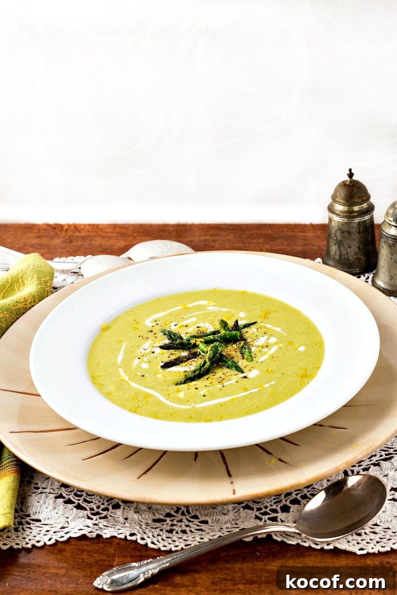 Lemon Asparagus Soup — Comforting Diabetes-Friendly Recipe 2 A soup bowl of creamy lemon asparagus soup garnished with asparagus tips.