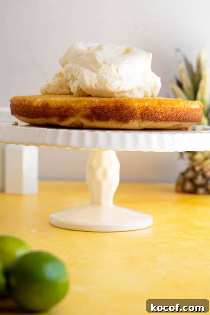 Moist Piña Colada Cake with Fresh Pineapple and Coconut 9 a pina colada cake with whipped coconut cream on top