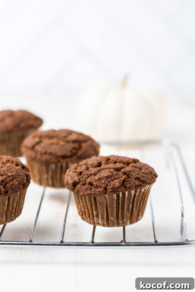 Pumpkin Gingerbread Muffins on a cooling rack.