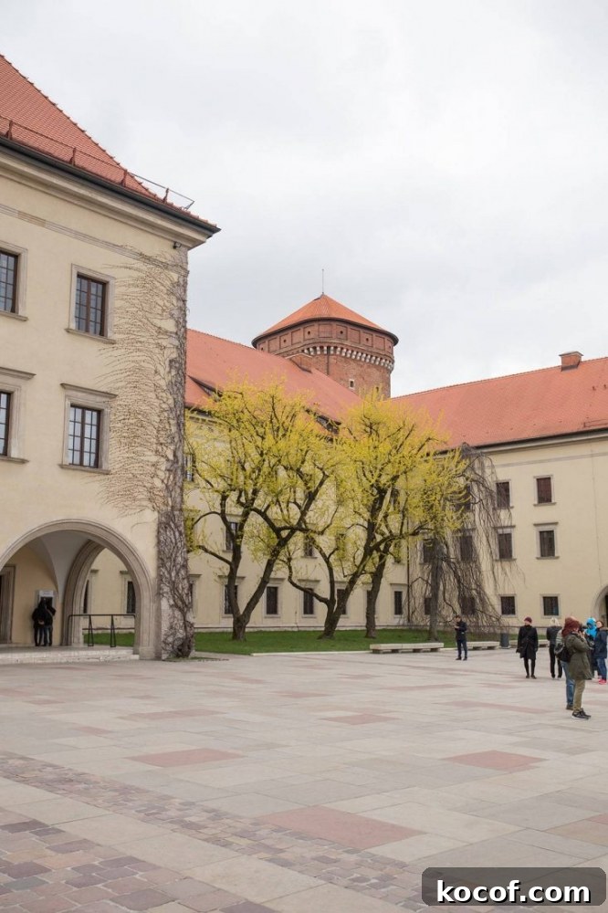 People standing Wawel Castle.
