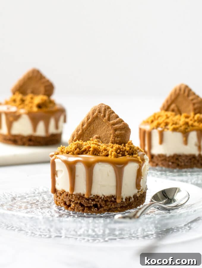 Biscoff Cheesecake