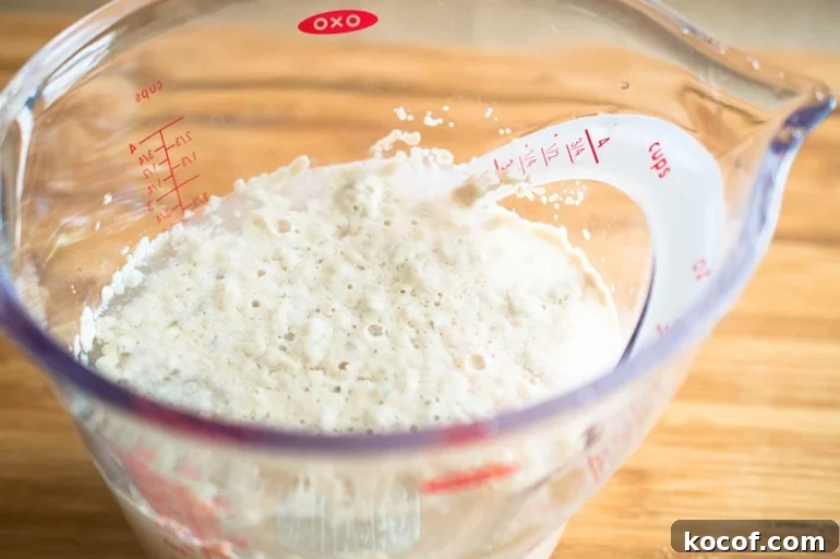 Active Yeast in a Measure Cup