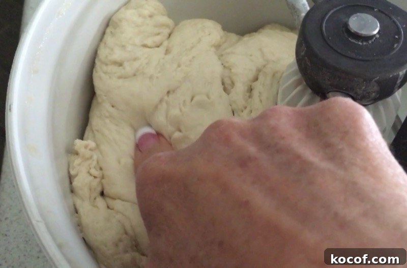 Spanish Bread Dough