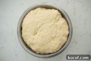 Spanish Bread Dough in a bowl 