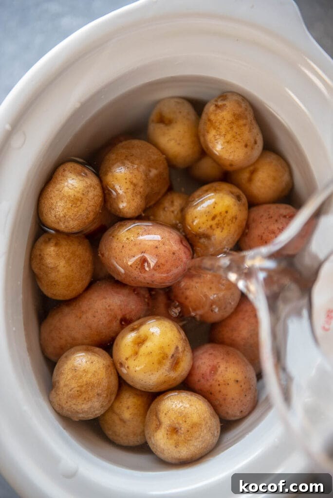 Creamy Dairy-Free Mashed Potatoes Recipe 6 adding water to baby potatoes in slow cooker