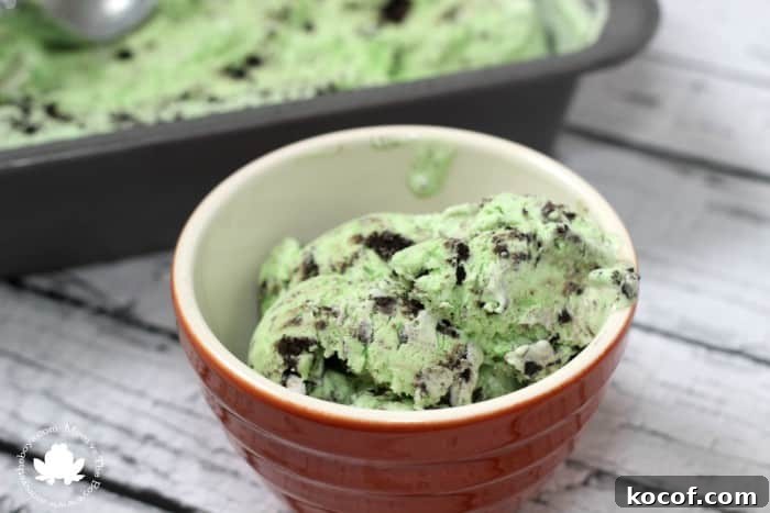 Mint Oreo Ice Cream - Mom vs the Boys