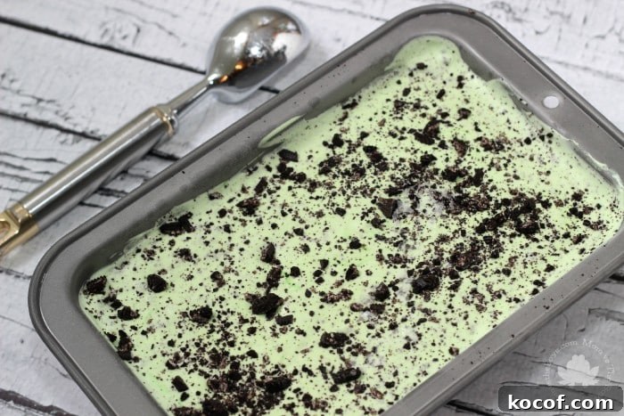 Mint Oreo Ice Cream