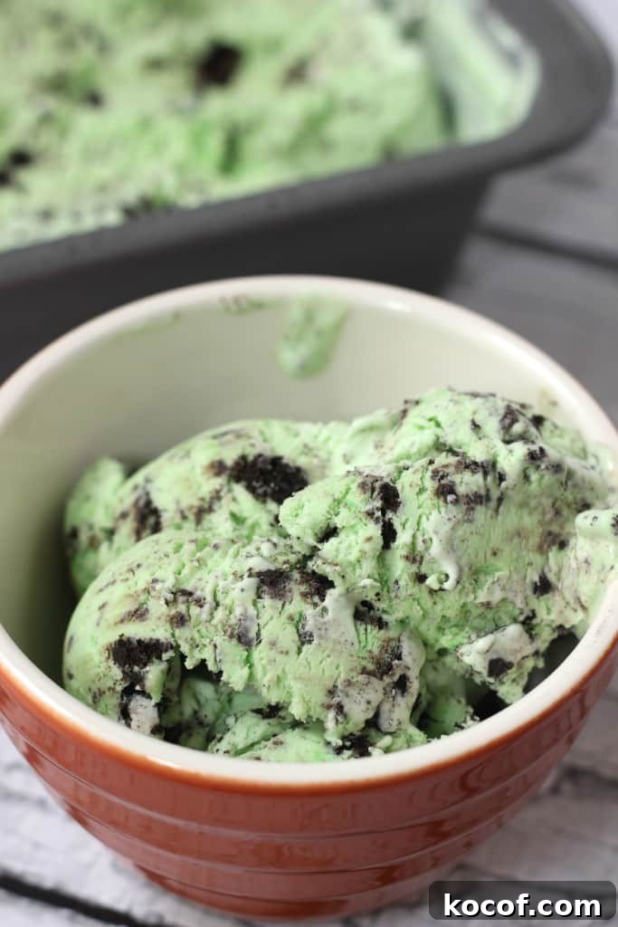 Mint Oreo No Churn Ice Cream