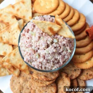 ham salad in a bowl with crackers all around