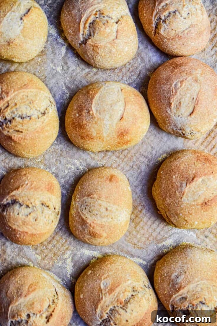 An overhead shot of sourdough dinner rolls no yeast