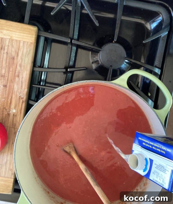 Quick Homemade Tomato Soup Recipe for Comfort and Flavor 6 img 20195 5