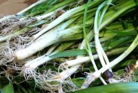 Three-Cornered Leek Recipes: 12 Delicious Ways to Cook Chive-Leek