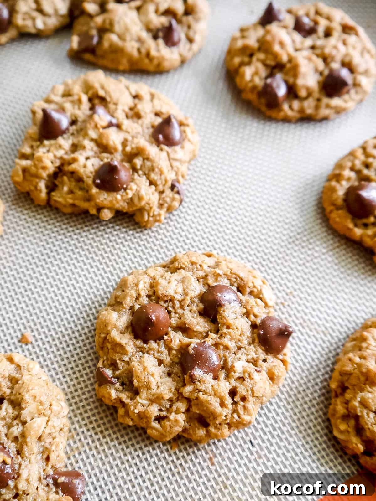 Almond Oatmeal Cookies — Gluten-Free & Dairy-Free Recipe 10 Oatmeal almond flour cookies fresh out of the oven and on a cookie sheet.