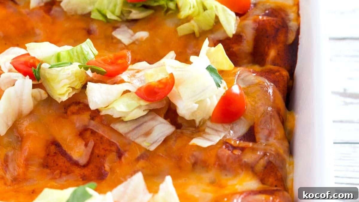 14 Burrito Recipes: Vegetarian and Meat Filling Options for Every Meal 12 Smothered Burritos with Shredded Beef