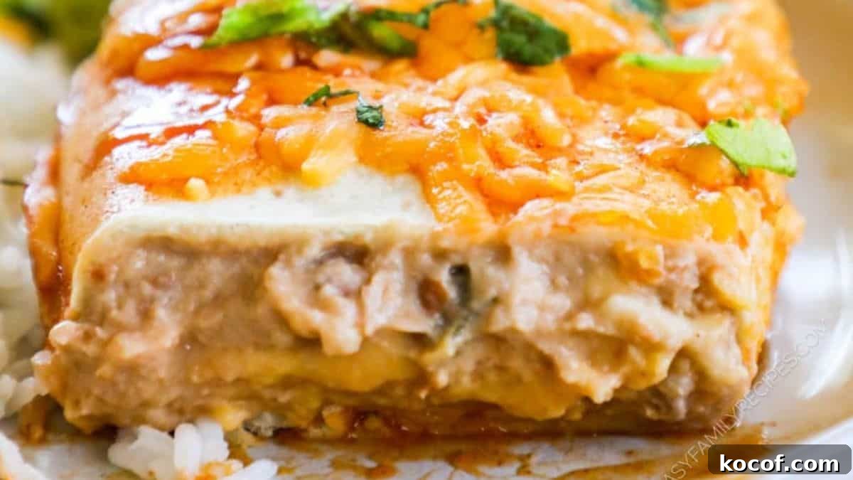 14 Burrito Recipes: Vegetarian and Meat Filling Options for Every Meal 3 Baked Bean Burritos