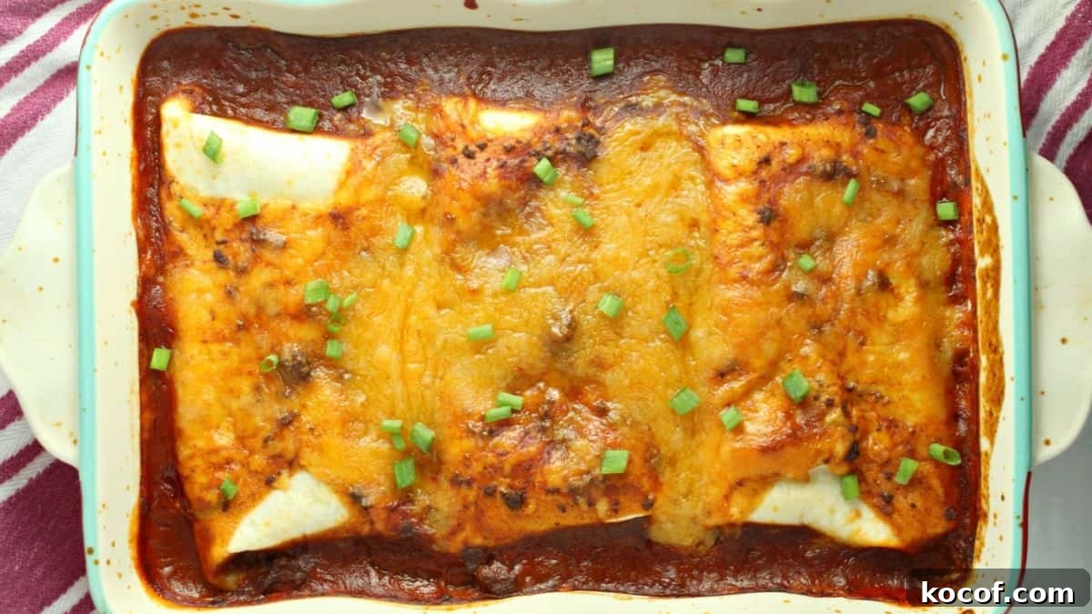 14 Burrito Recipes: Vegetarian and Meat Filling Options for Every Meal 6 Wet Burritos