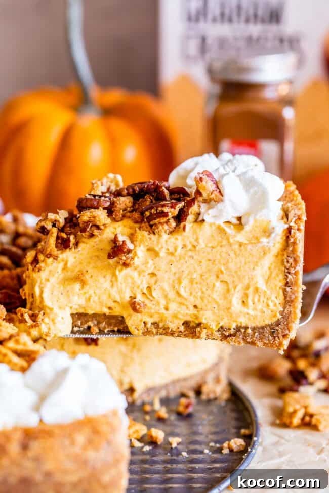 no bake pumpkin cheesecake with whipped cream and pecan crumble being lifted from the pan.