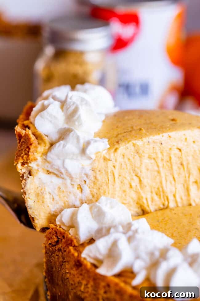 slice of easy no bake pumpkin cheesecake being lifted from the pan on a server.
