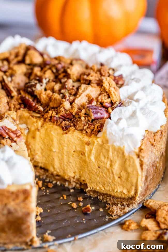 no bake pumpkin cheesecake with pecans and graham crackers and whipped cream.