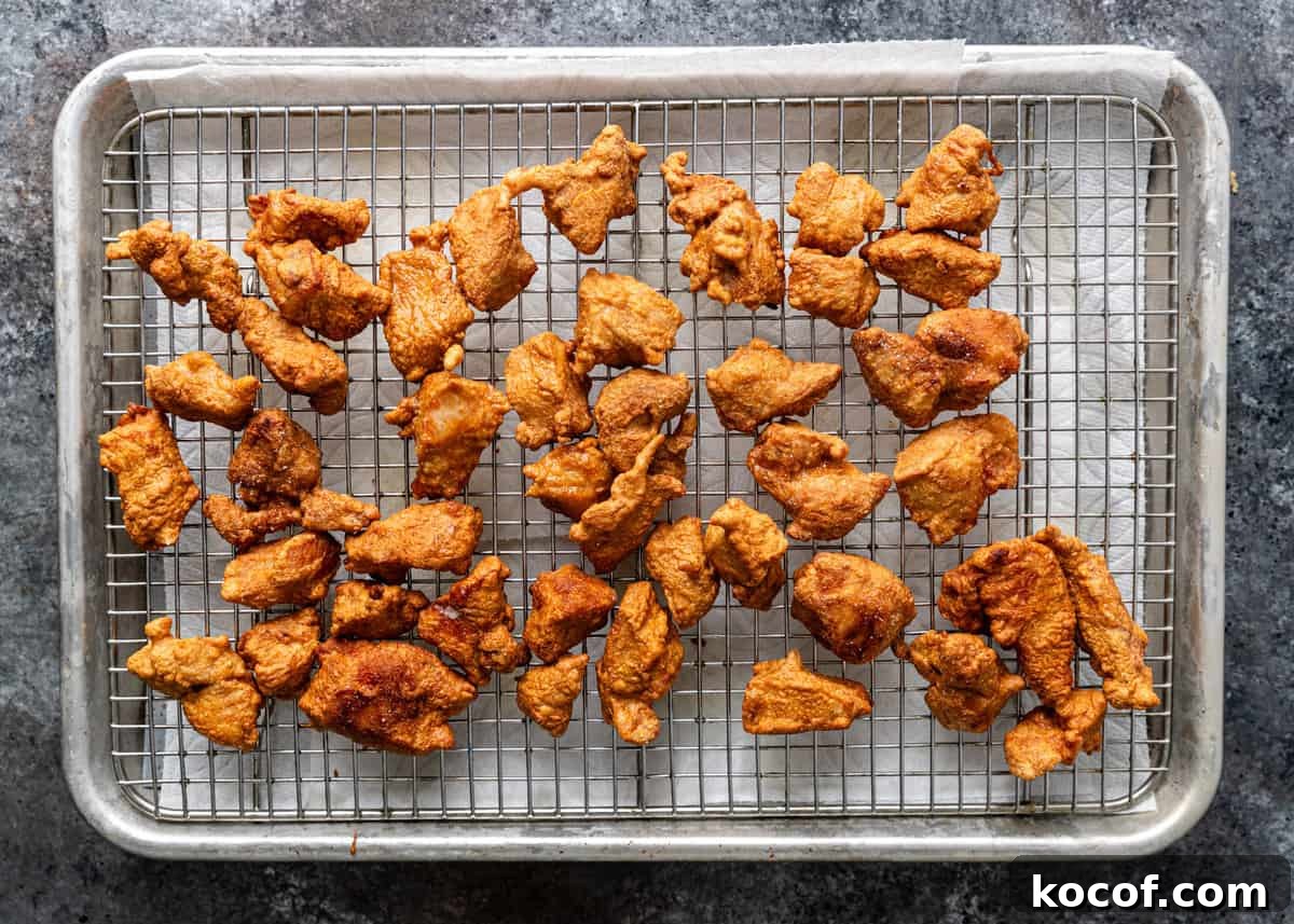 overhead: fried pork cooling on a wire rack