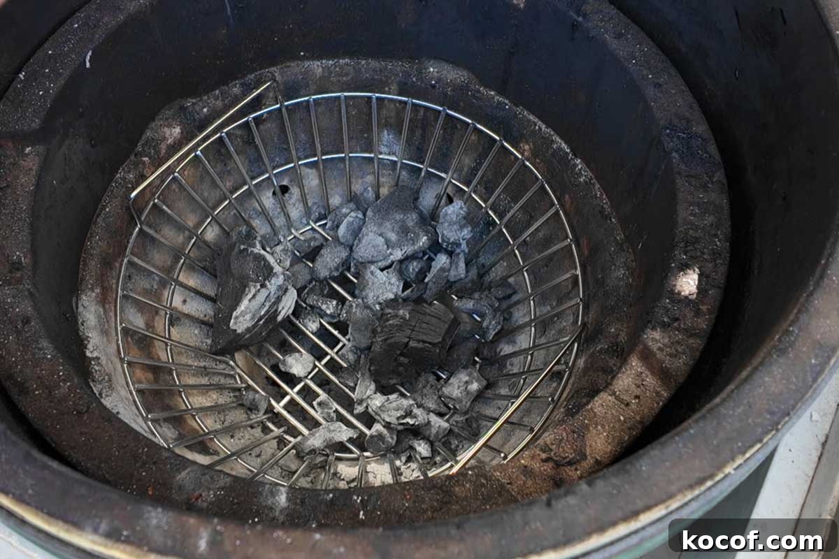 Charcoal Ash Basket for Kamado Grills: Benefits and Buying Guide 2 Charcoal Ash Basket in a Large Big Green Egg