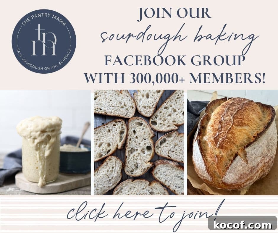 Crispy Sourdough Flatbread Recipe for Homemade Sandwiches 8 img 2417 10