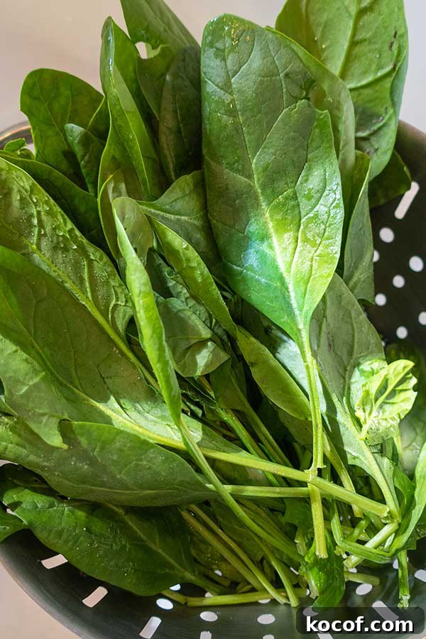 Protein-Packed Ideas for a Gluten-Free Plant-Based Diet 3 fresh spinach leaves in a colander