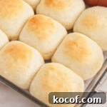 rolls lined up in glass baking dish.
