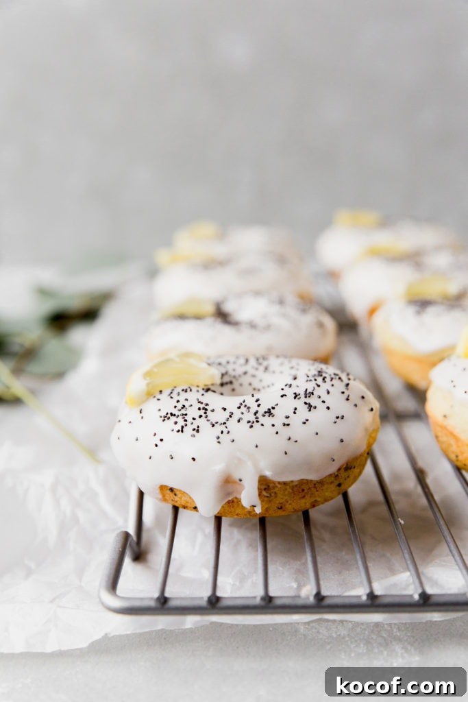 lemon poppyseed donuts