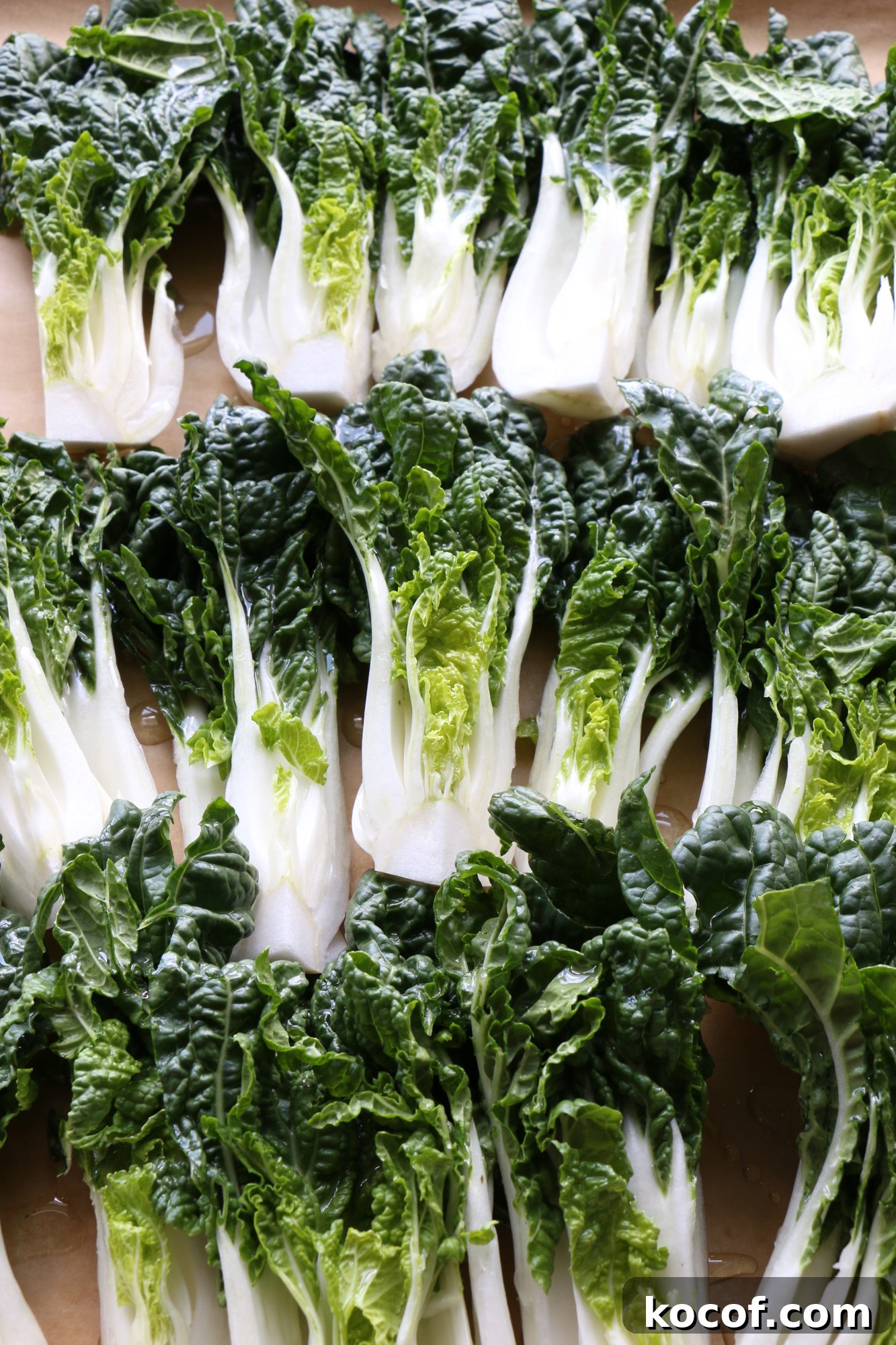bok choy