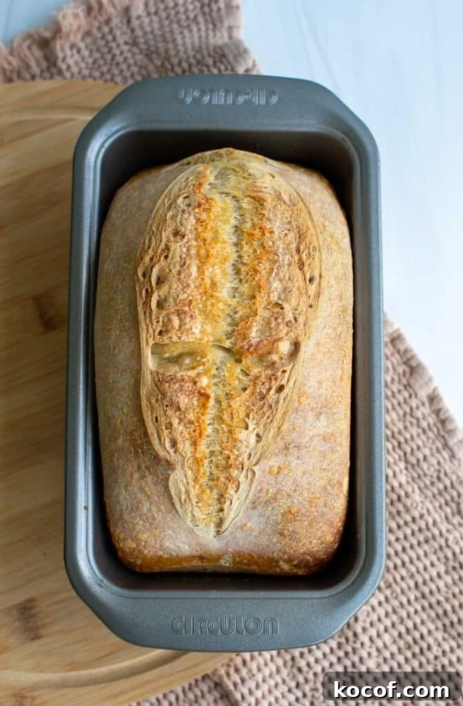 Baking Sourdough in a Loaf Pan: Step-by-Step Guide for Perfect Crust 2 A loaf of sourdough bread in a loaf pan.
