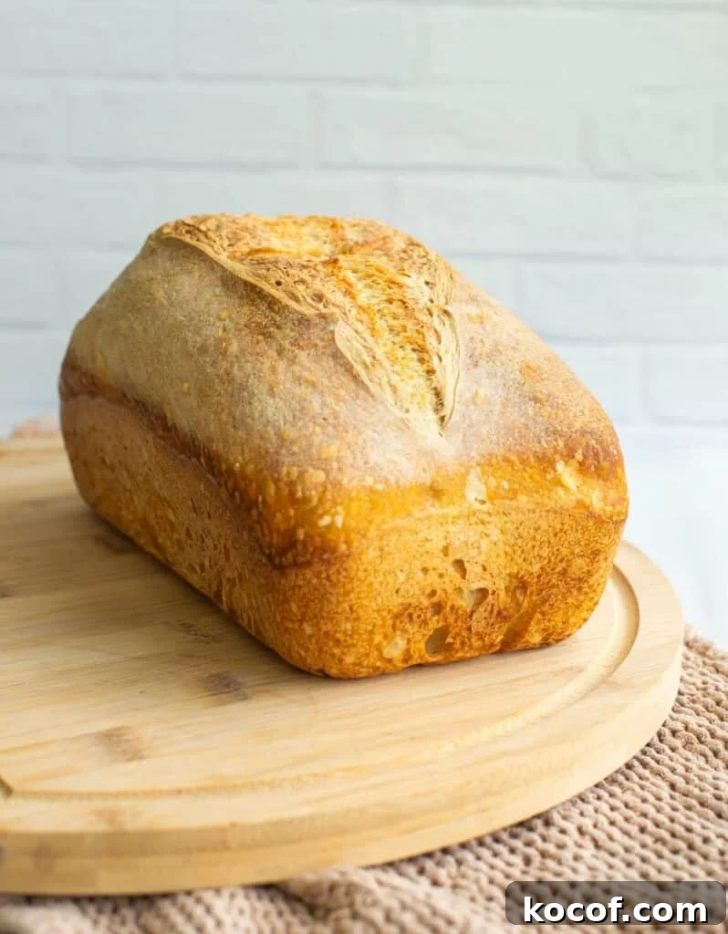 Baking Sourdough in a Loaf Pan: Step-by-Step Guide for Perfect Crust 4 A loaf of sourdough bread that was baked in a loaf pan sits on a cutting board.