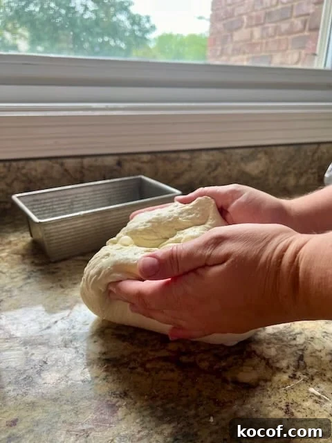 Baking Sourdough in a Loaf Pan: Step-by-Step Guide for Perfect Crust 8 Hands lift and shape dough on a kitchen counter.