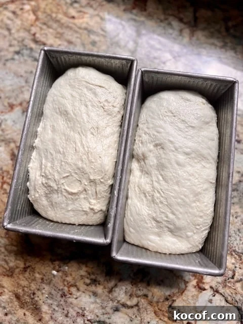Baking Sourdough in a Loaf Pan: Step-by-Step Guide for Perfect Crust 10 Two loaf pans are filled with shaped sourdough dough.