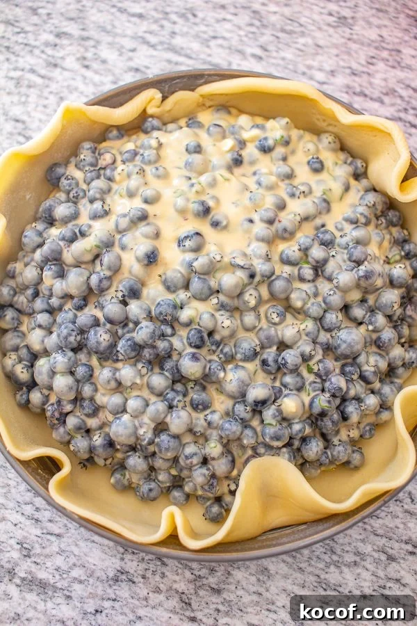 Blueberry Pie Blueberry Pie