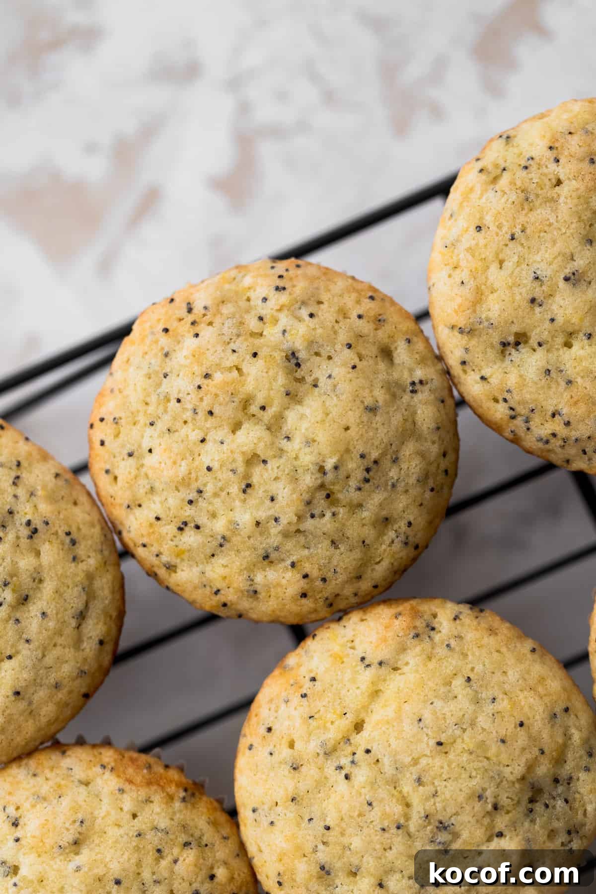 Lemon Poppy Seed Cupcakes with Zesty Glaze and Moist Crumb 7 Cupcakes on a wire rack