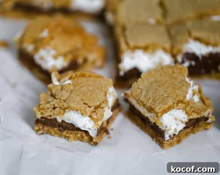 OMG S'mores Bars