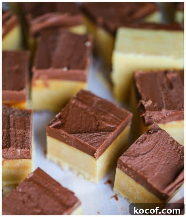 two tone buckeye fudge